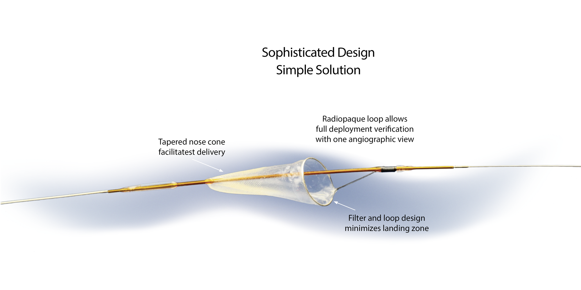 FilterWire EZ™ Embolic Protection System for Carotid Arteries Boston